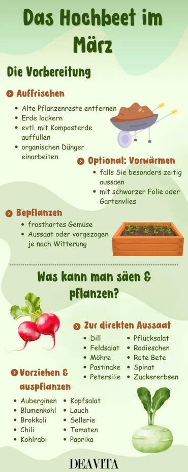 Das wichtigste zum Hochbeet im März in einer Infografik zusammengefasst