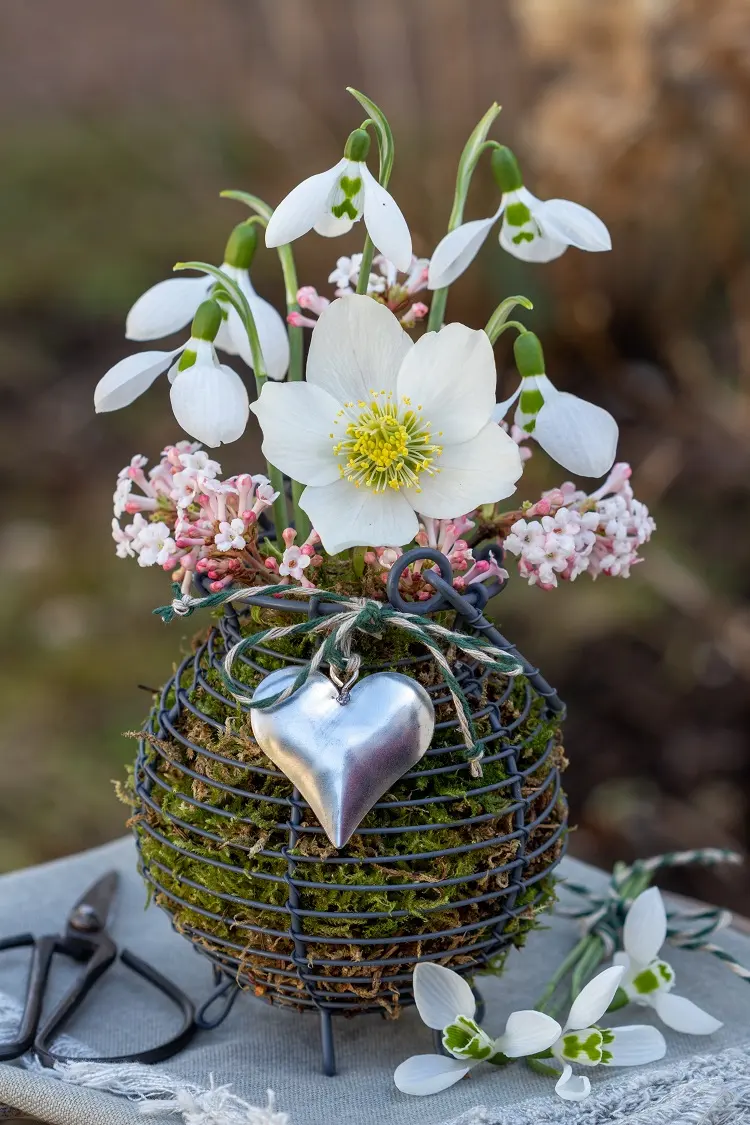 einzigartige außendeko mit schneeglöckchen und christrose im eierkorb