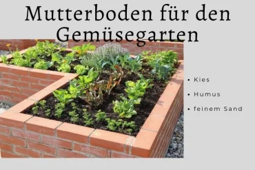 Erde für Hochbeet mit Gemüse verschiedene Arten