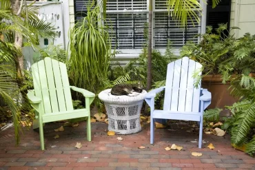 Fremde Katze markiert Terrasse - Tipps und Abwehrmittel