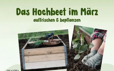 Hochbeet im März richtig pflegen mit diesen Gartentipps