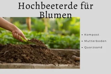 Hochbeeterde für Blumenbeet Zusammensetzung und Anteil