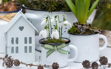 kreative schneeglöckchen deko selber machen