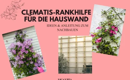 Rankhilfe für Clematis für die Hauswand bauen - Ideen und Anleitung aus Holz