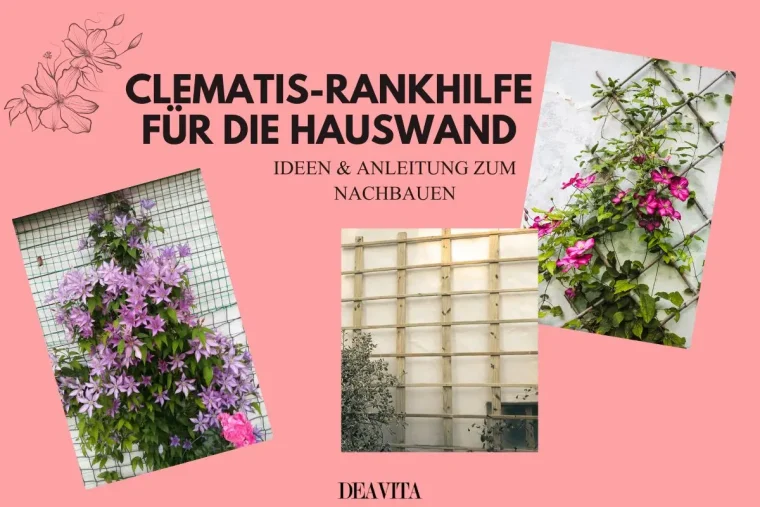 Rankhilfe für Clematis für die Hauswand bauen - Ideen und Anleitung aus Holz