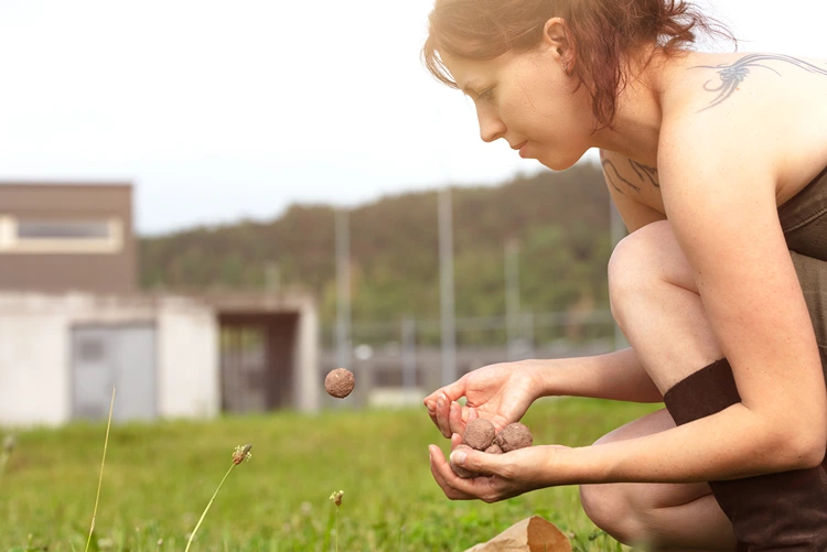 saatkugeln einfach auf erde werfen