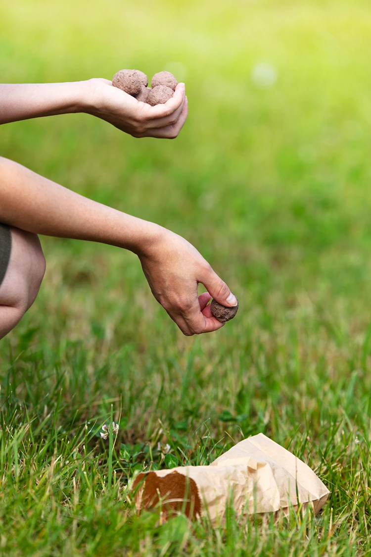 saatkugeln werfen wurf methode für blühende landschaft