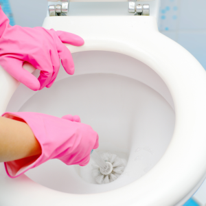 scheuermilch zur reinigung der toilette