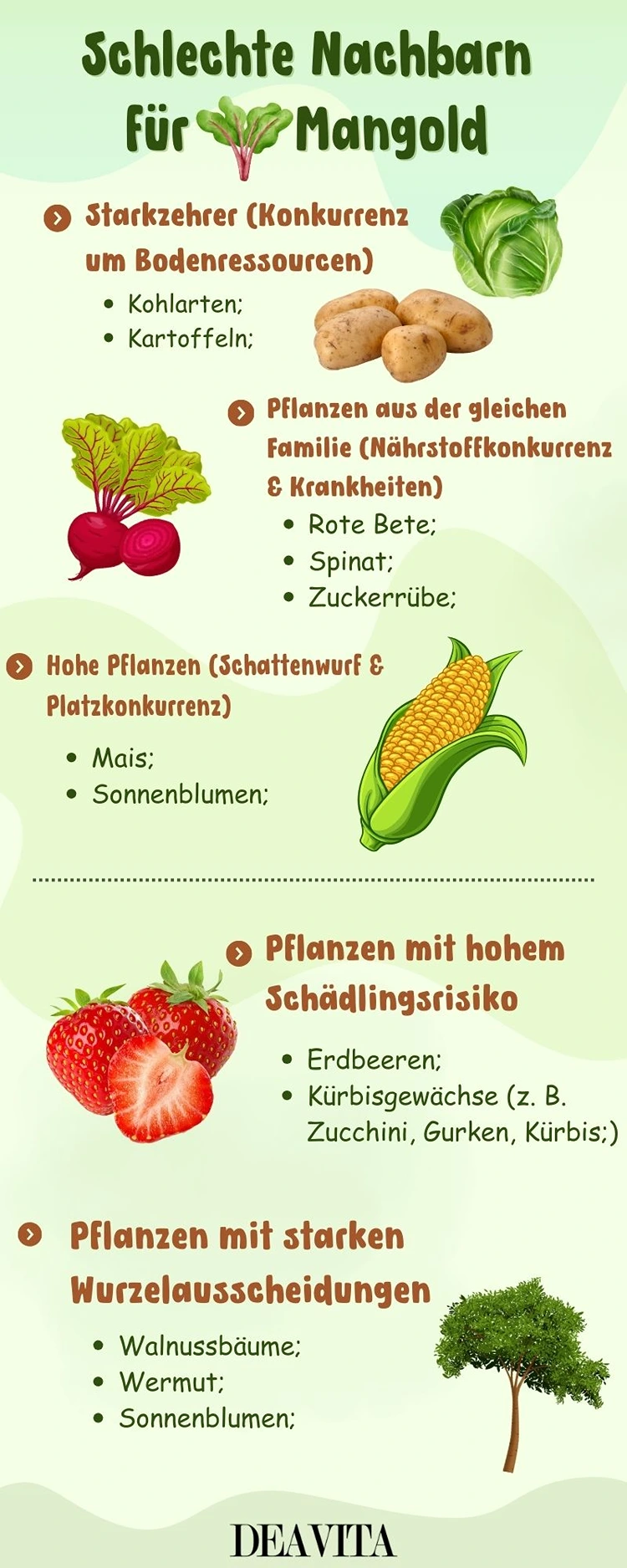 schlechte nachbarn für mangold liste zusammengefasst