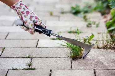 Terrassenplatten mit Waschpulver sauber machen