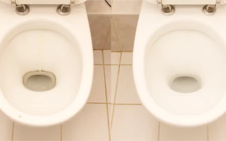 vergleich toilettenschüssel vor und nach der reinigung mit salzsäure