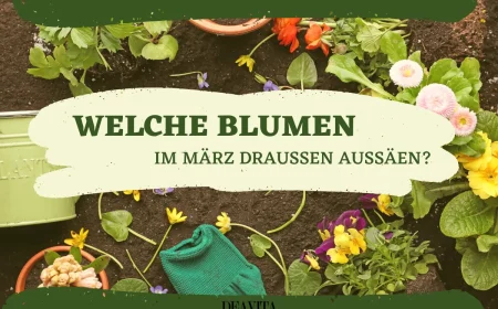 welche blumen im märz draußen aussäen