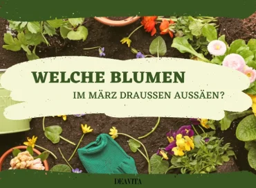 welche blumen im märz draußen aussäen