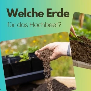 welche Erde fürs Hochbeet nützliche Tipps