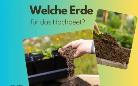 welche Erde fürs Hochbeet nützliche Tipps