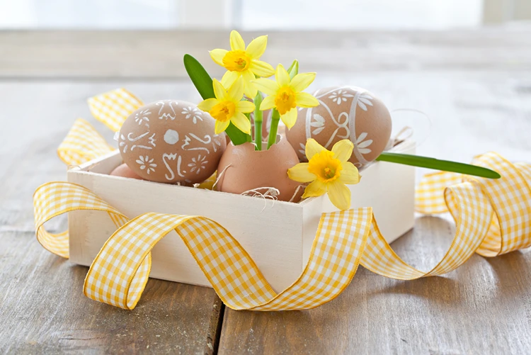 braune eier in einer weißen kiste, kombiniert mit narzissen