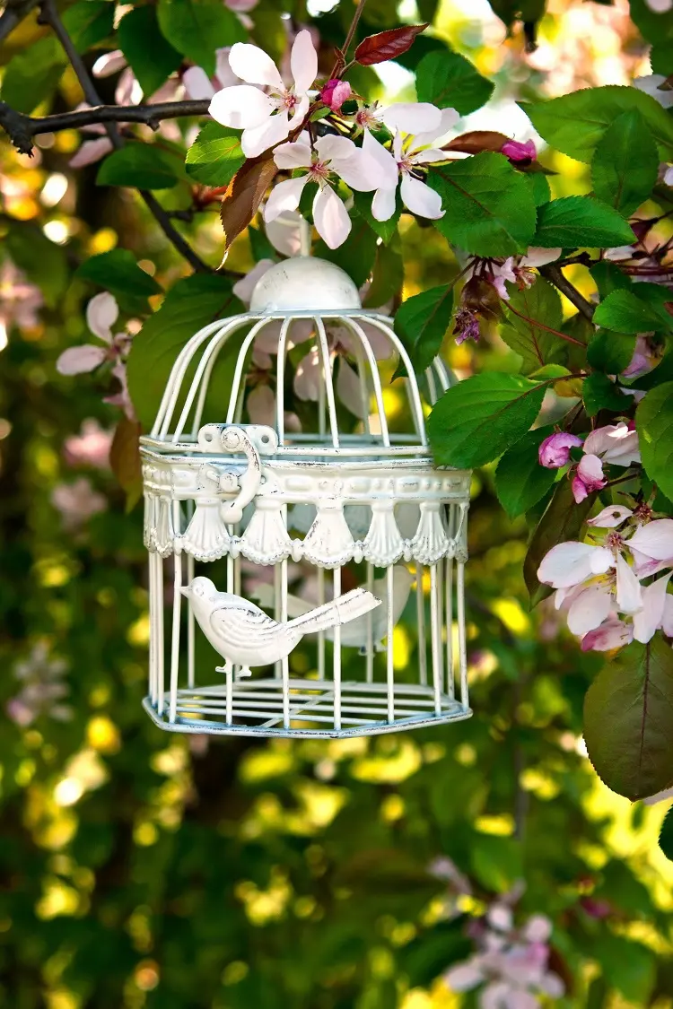 dekorativer käfig im garten aufhängen