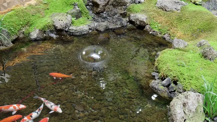 Der Biling Solarbrunnen wertet den Teich im Garten auf