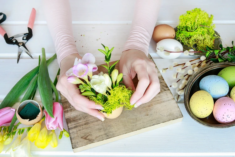 eierschale mit blüten und moos gefüllt