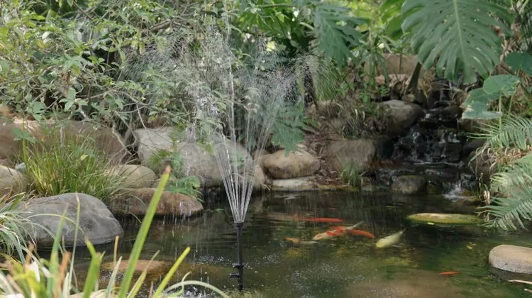 Ein Wasserspiel im Gartenteich für die Fische installieren