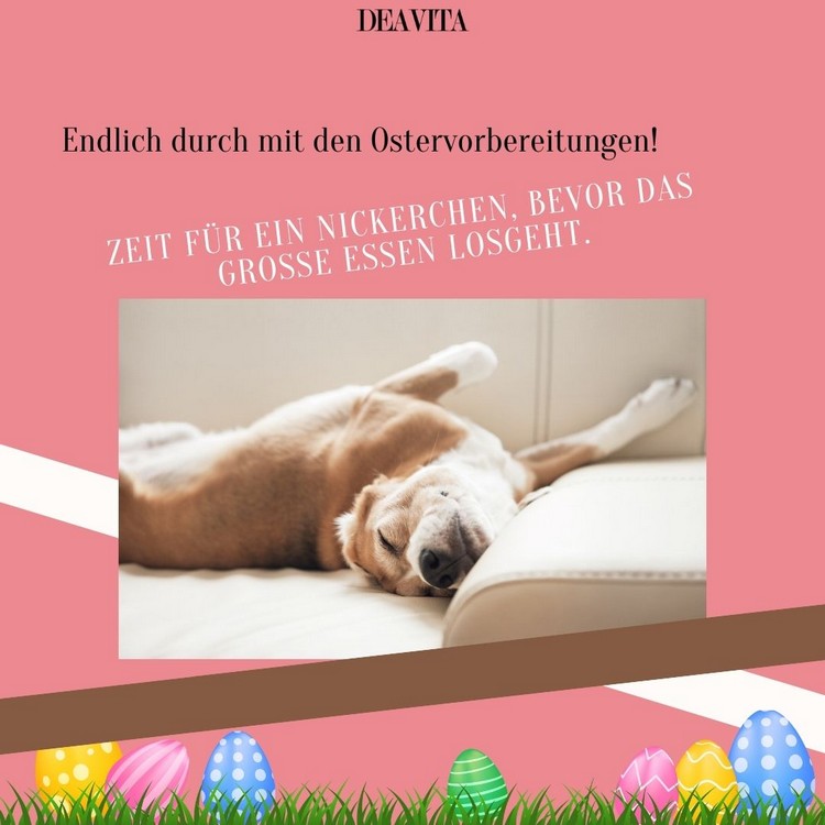 Endlich sind die Ostervorbereitungen vorbei, Zeit für ein Nickerchen