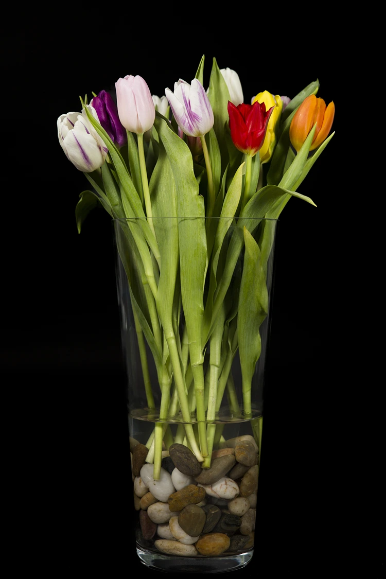 hohe bodenvase mit kies und tulpen