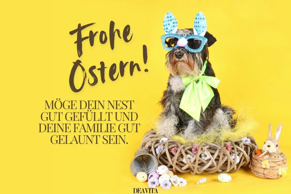 Lustige Bilder, um 2025 frohe Ostern zu wünschen
