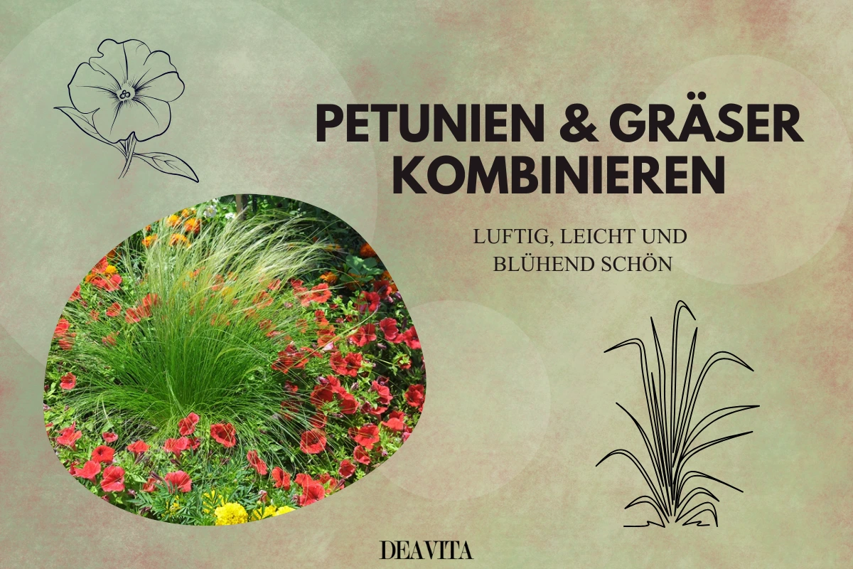 petunien gräser kombinieren blühend schön
