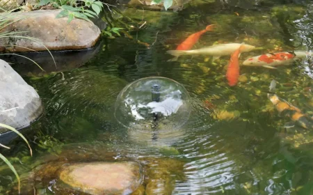 Umweltfreundlicher Biling Solarbrunnen für den Gartenteich