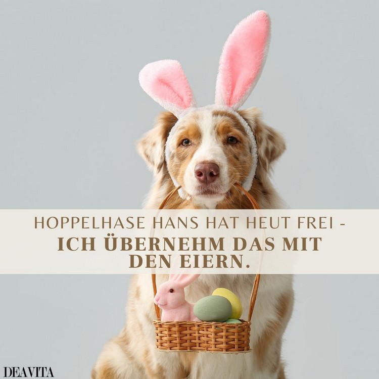 Witzige Grüße zu Ostern - Hoppelhase hat heute frei