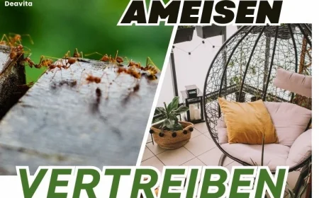 Ameisen auf dem Balkon vertreiben mit Hausmitteln