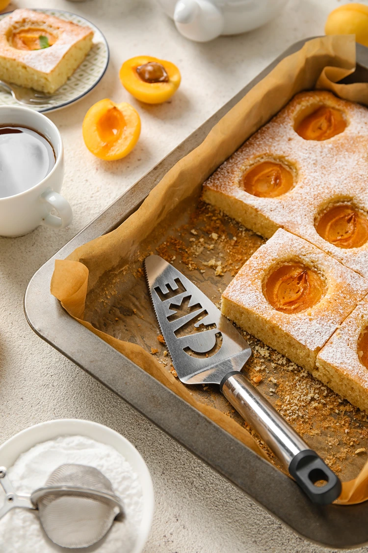 aprikosenkuchen zum mitbringen grillparty