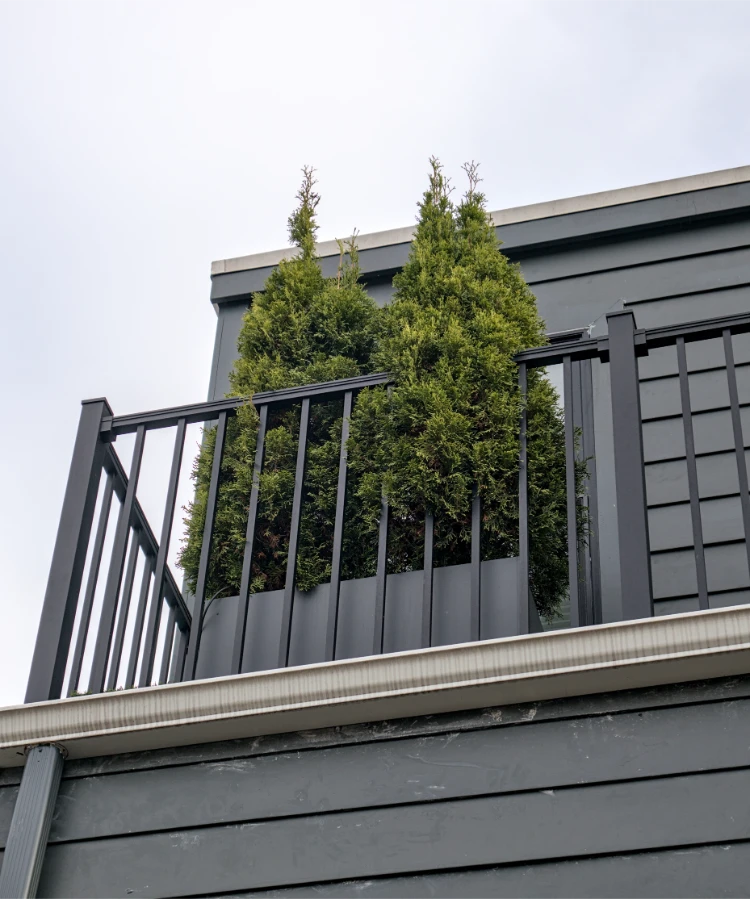 balkon pflanzkästen mit thuja als sichtschutz