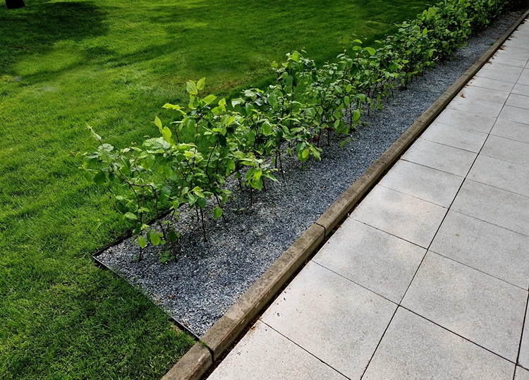 bodenbündige metallkante für einen modernen vorgarten