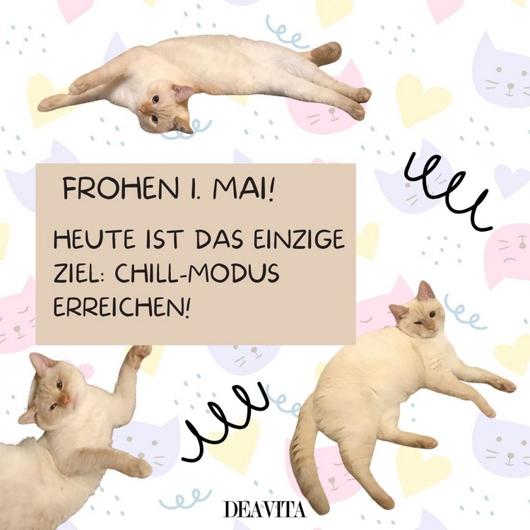 Das einzige Ziel ist, den Chill-Modus zu erreichen