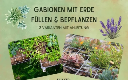 Gabionen mit Erde füllen und bepflanzen für einen vertikalen Garten