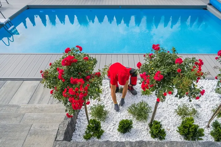 Gestaltung rund um den Pool mit einem kleinen Kiesbeet aus weißem Zierkies und Rosen