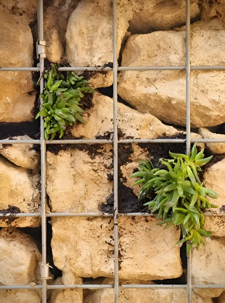 Größere Lücken zwischen dem Füllmaterial mit Pflanzen füllen