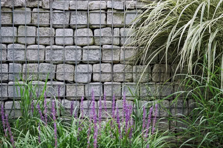 Hohe Gräser zur Begrünung der Steinwand vor den Sichtschutz pflanzen