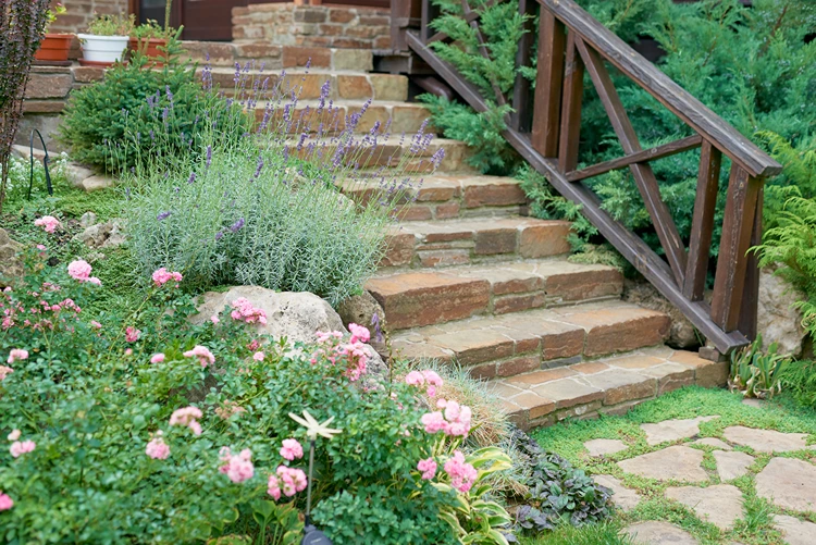 lavendel und rosen an einer natursteintreppe mit holzgeländer