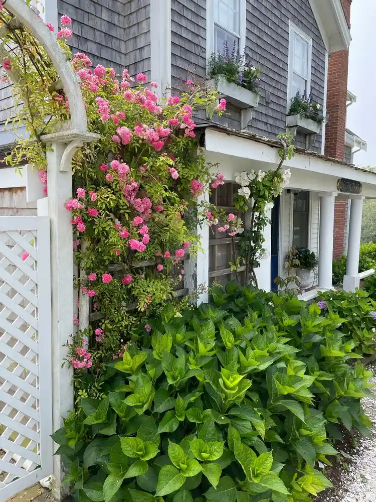 licht im beet und temperatur beachten