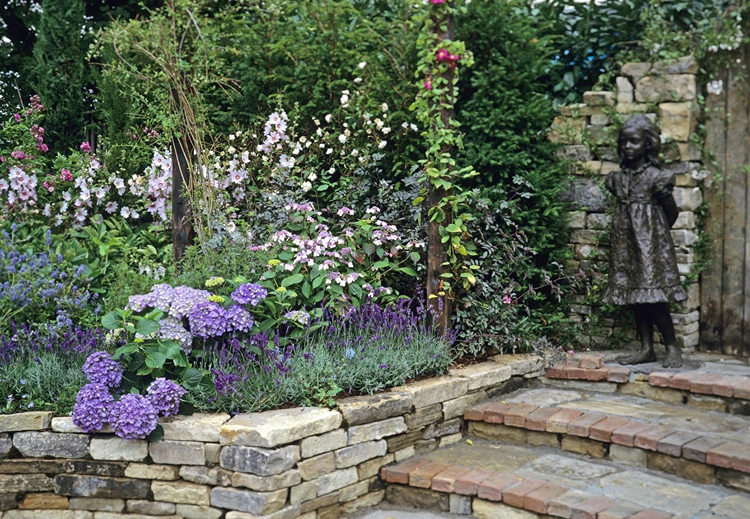 lila hortensien und lavendel zusammen pflanzen harmonisch