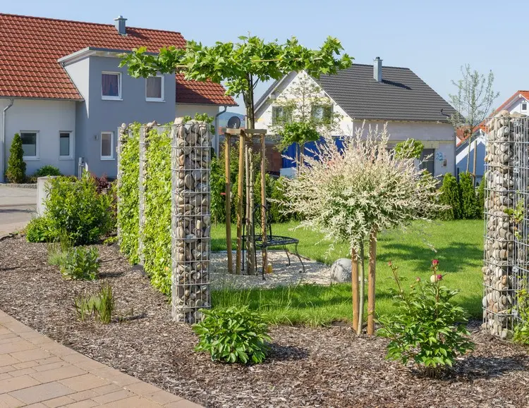 Modern und natürlich zugleich - Gabionensäulen und dazwischen Kletterpflanzen