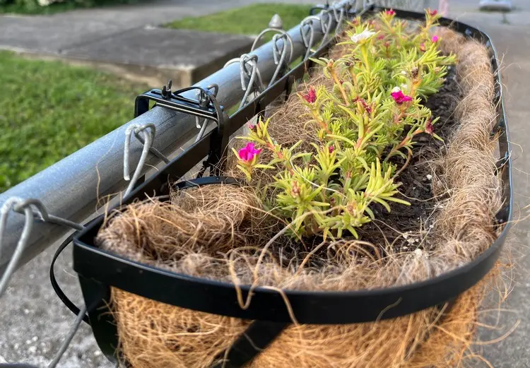 Niedrige Maschendrahtzäune mit stabilem Geländer eignen sich für Blumenkästen