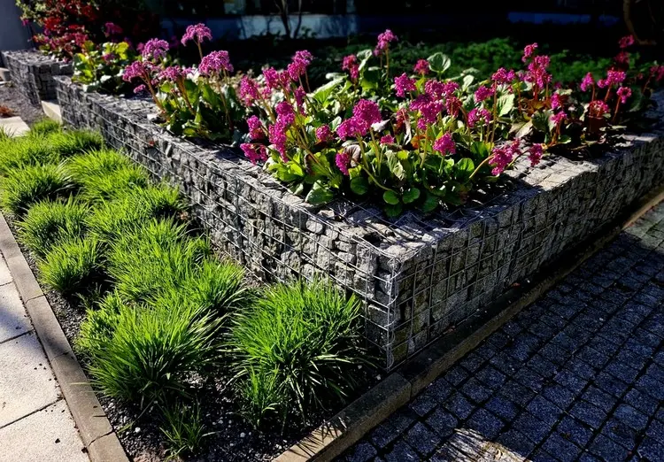Niedriger Gabionenzaun mit integrierten Blumen und niedrigen Ziergräsern