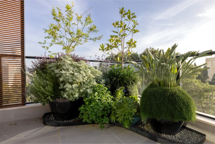 pflanzen in schönen pflanzgefäßen und topfpflanzen auf stilvollem modernem balkon als sichtschutz