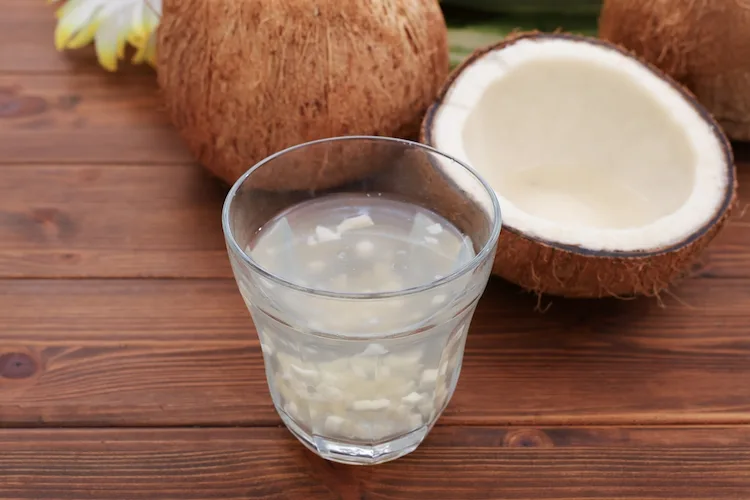 Pflanzen mit Kokoswasser vermehren Anleitung und Tipps