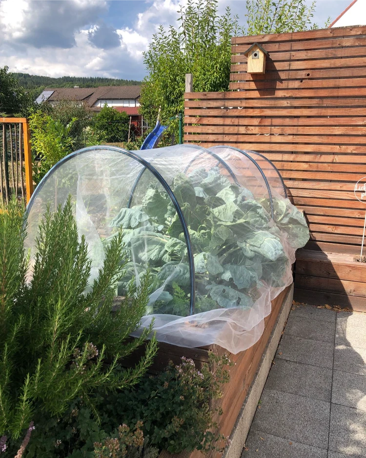 pflanzenschutz im garten aus alten gardinen