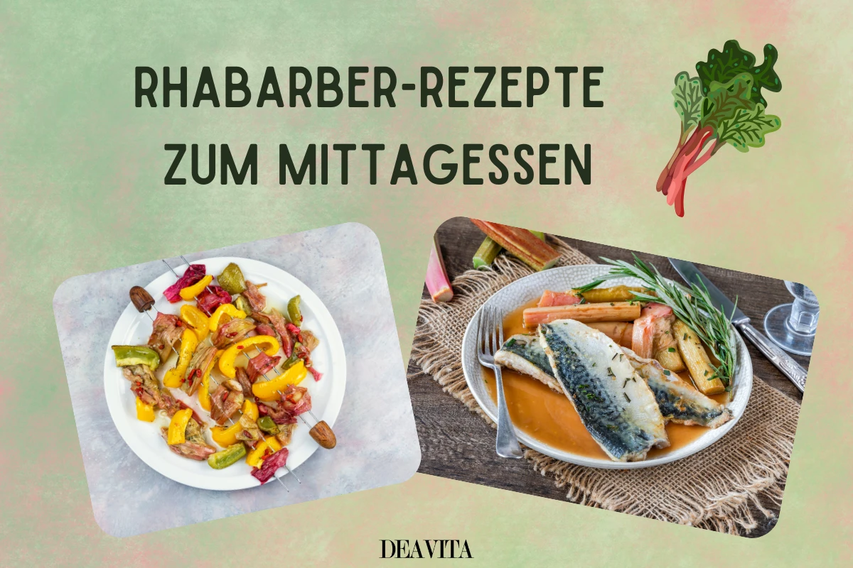 rhabarber rezepte zum mittagessen