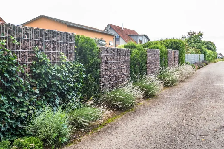 Schöne Grundstückabgrenzung mit Gräsern, Gabionen, und kletternden Pflanzenarten